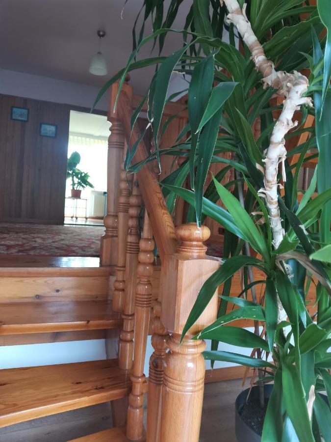 Apartament Forest Mysłakowice Dış mekan fotoğraf